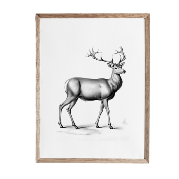 a black and white drawing of a deer