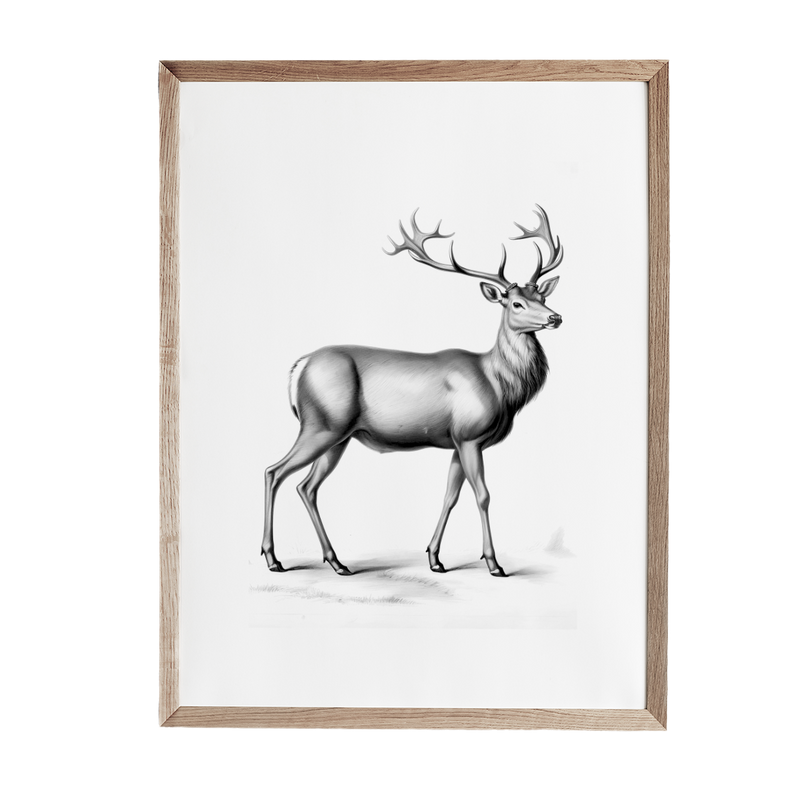 a black and white drawing of a deer