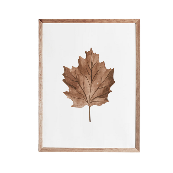 a brown leaf on a white background