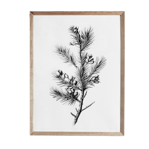 a black and white drawing of a pine tree