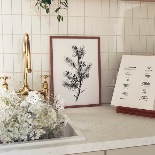 Pine Branch Art Print