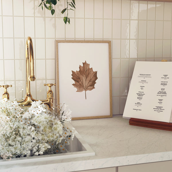 Maple Leaf Art Print