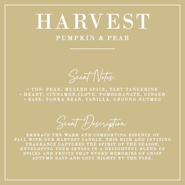 Harvest | Pumpkin + Pear Coconut Wax Candle
