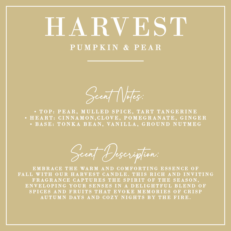 Harvest | Pumpkin + Pear Coconut Wax Candle