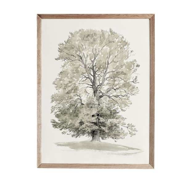 a black and white drawing of a tree