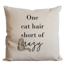One Cat Hair Pillow Cover