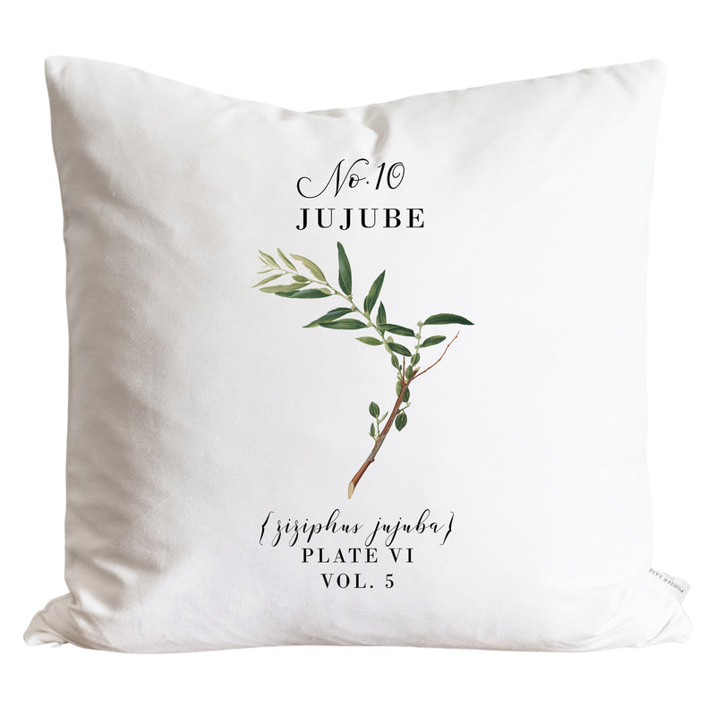 Jujube Pillow Cover