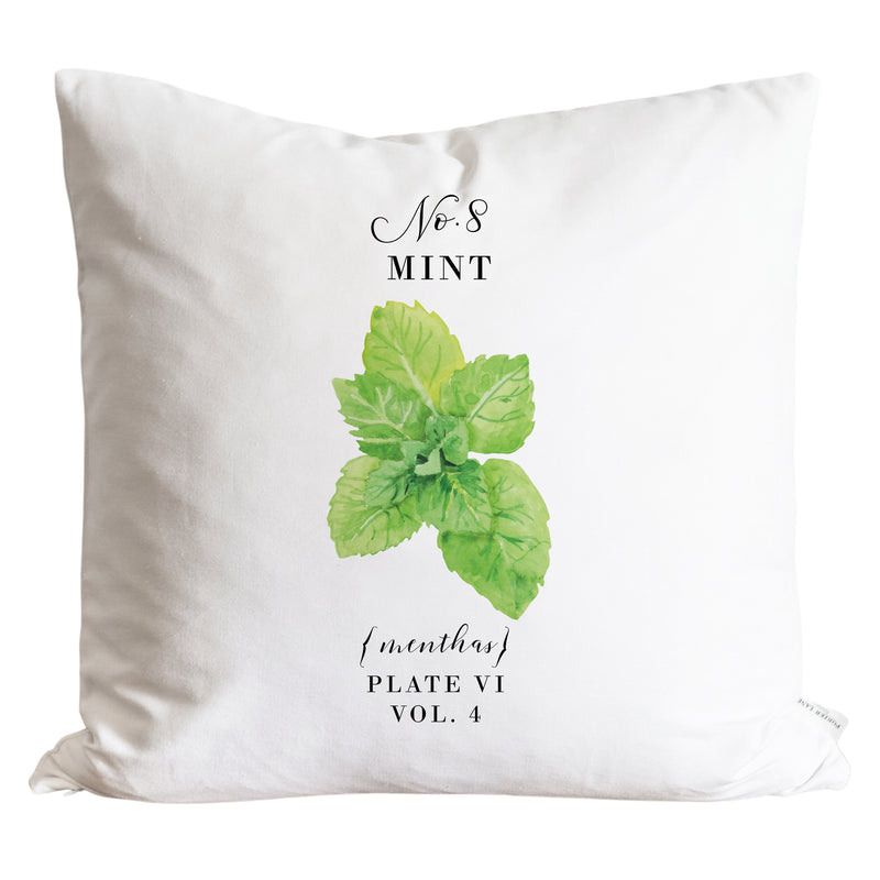 Mint Pillow Cover