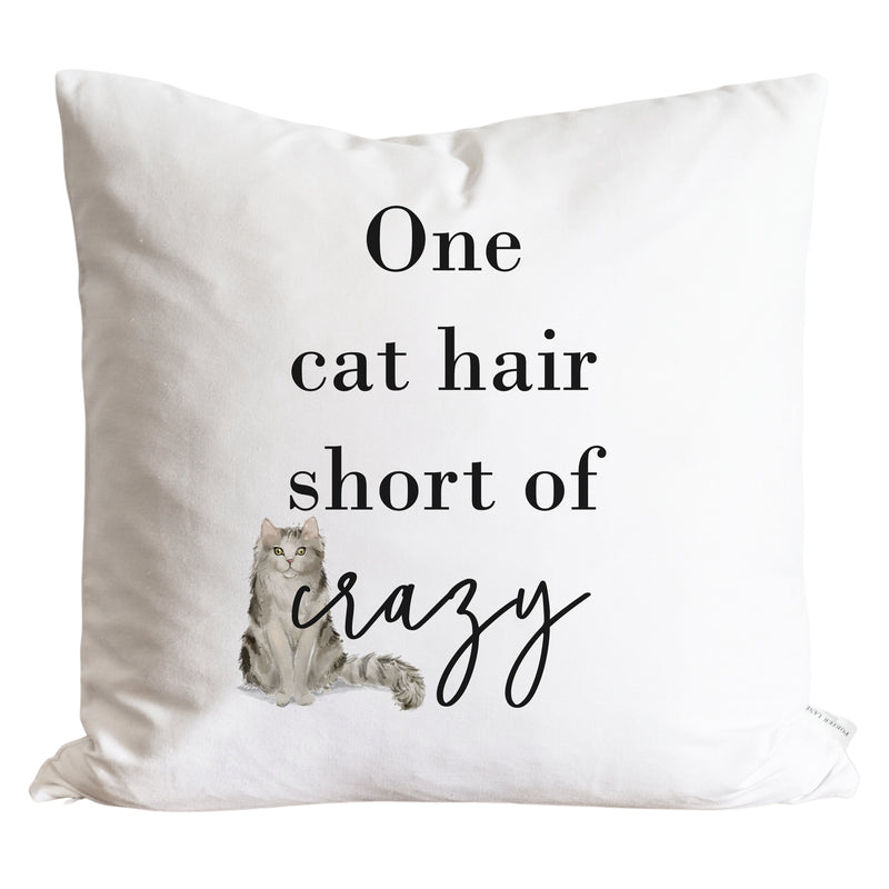 One Cat Hair Pillow Cover