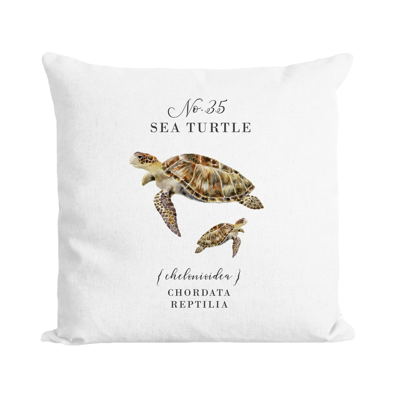 Turtle pillow case hotsell