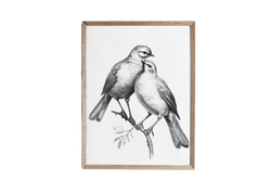 Bird Sketches(バード・スケッチズ) Spring Bird Sketch Art Bird Sketches(バード・スケッチズ) Spring Bird Sketch Art