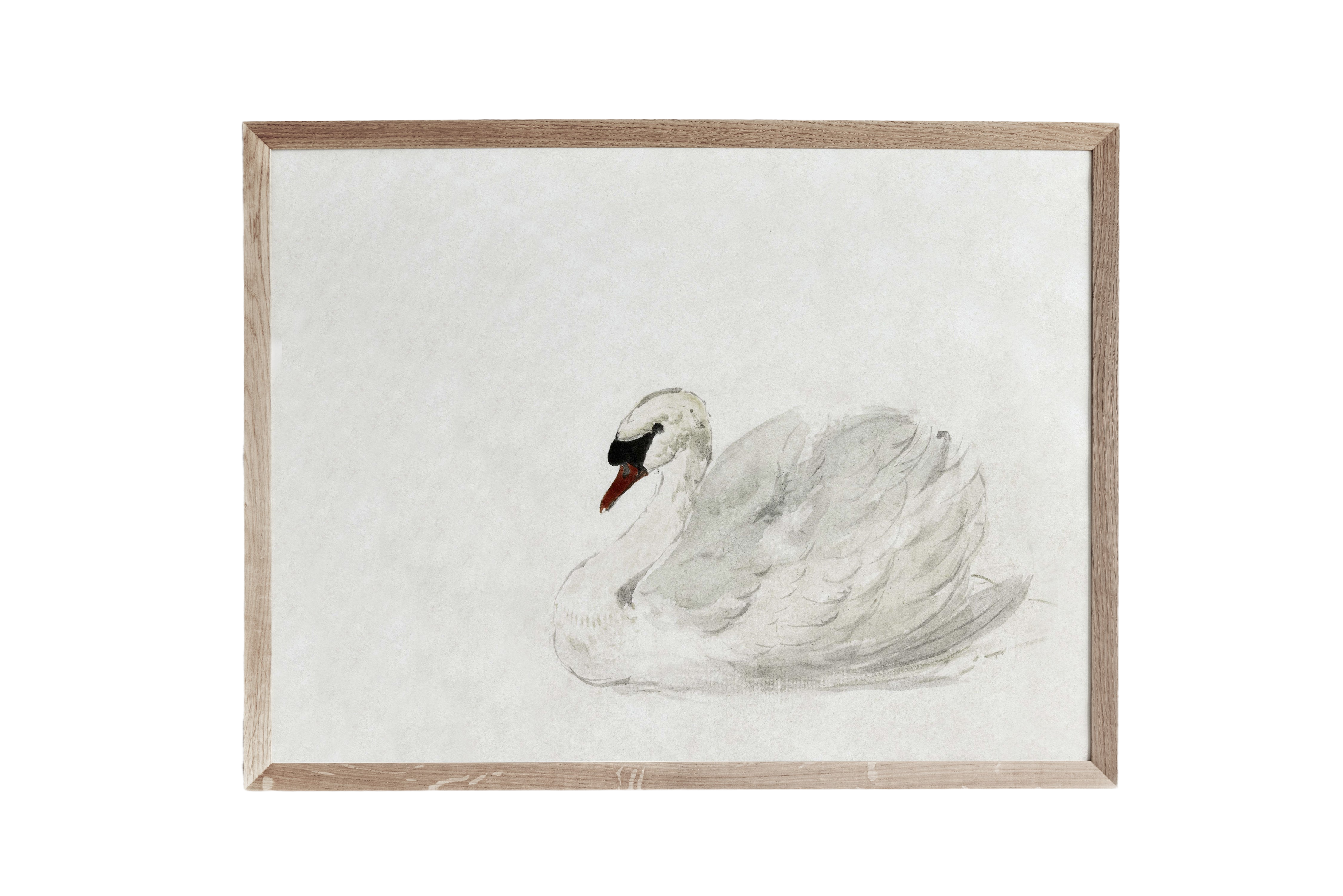 Vintage Swan Art Print | AC6014 – Porter Lane Home