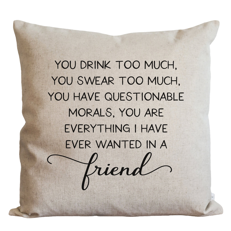 Questionable Friend Pillow Cover