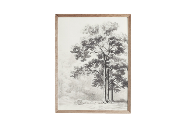 a black and white drawing of a tree