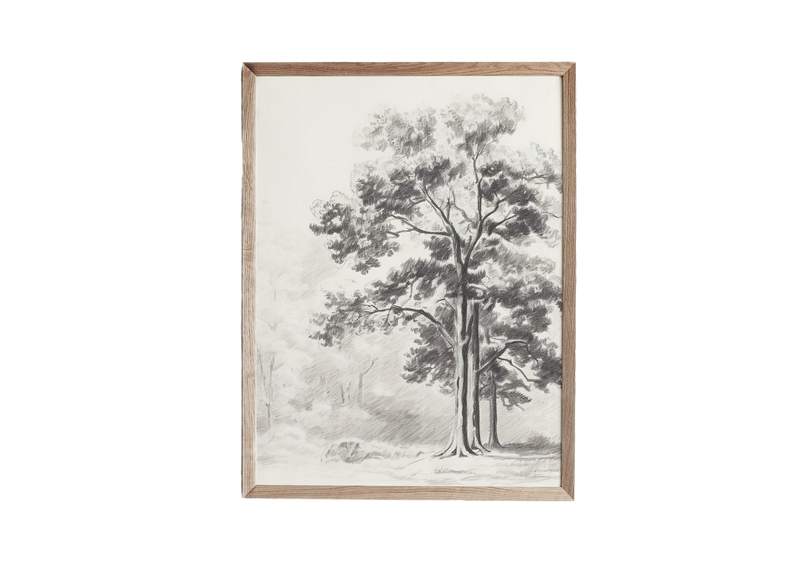 a black and white drawing of a tree